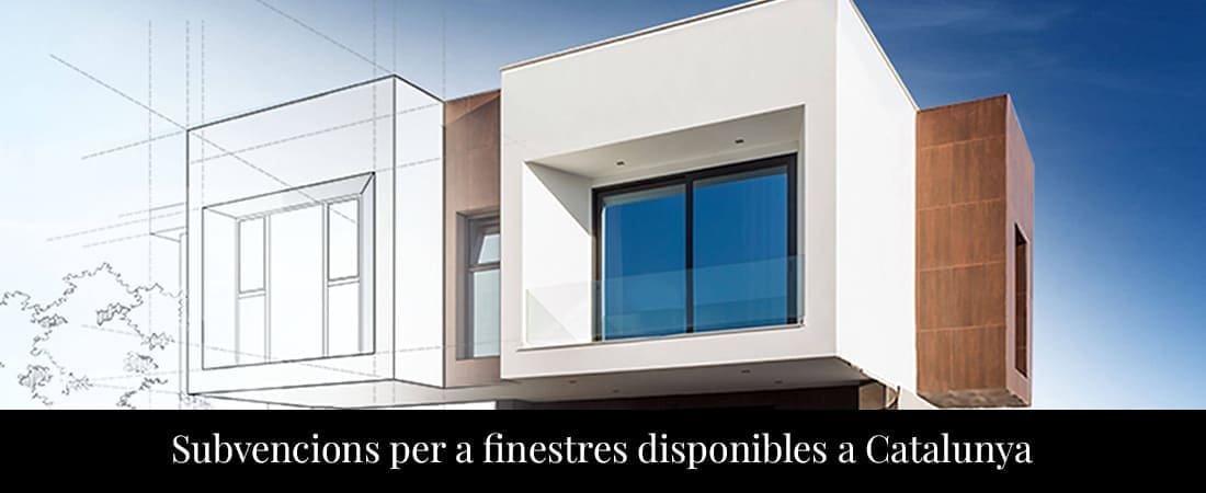 Subvencions finestres 2024